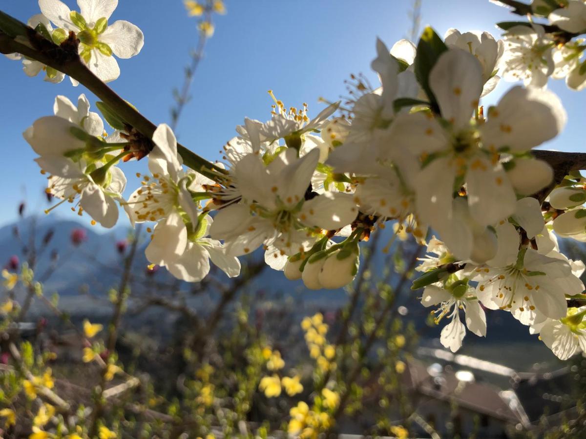 Garni Nunnemairhof Hotel Scena Kültér fotó